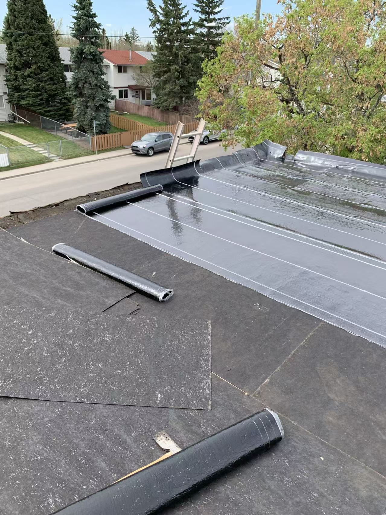 Roof Project 4
