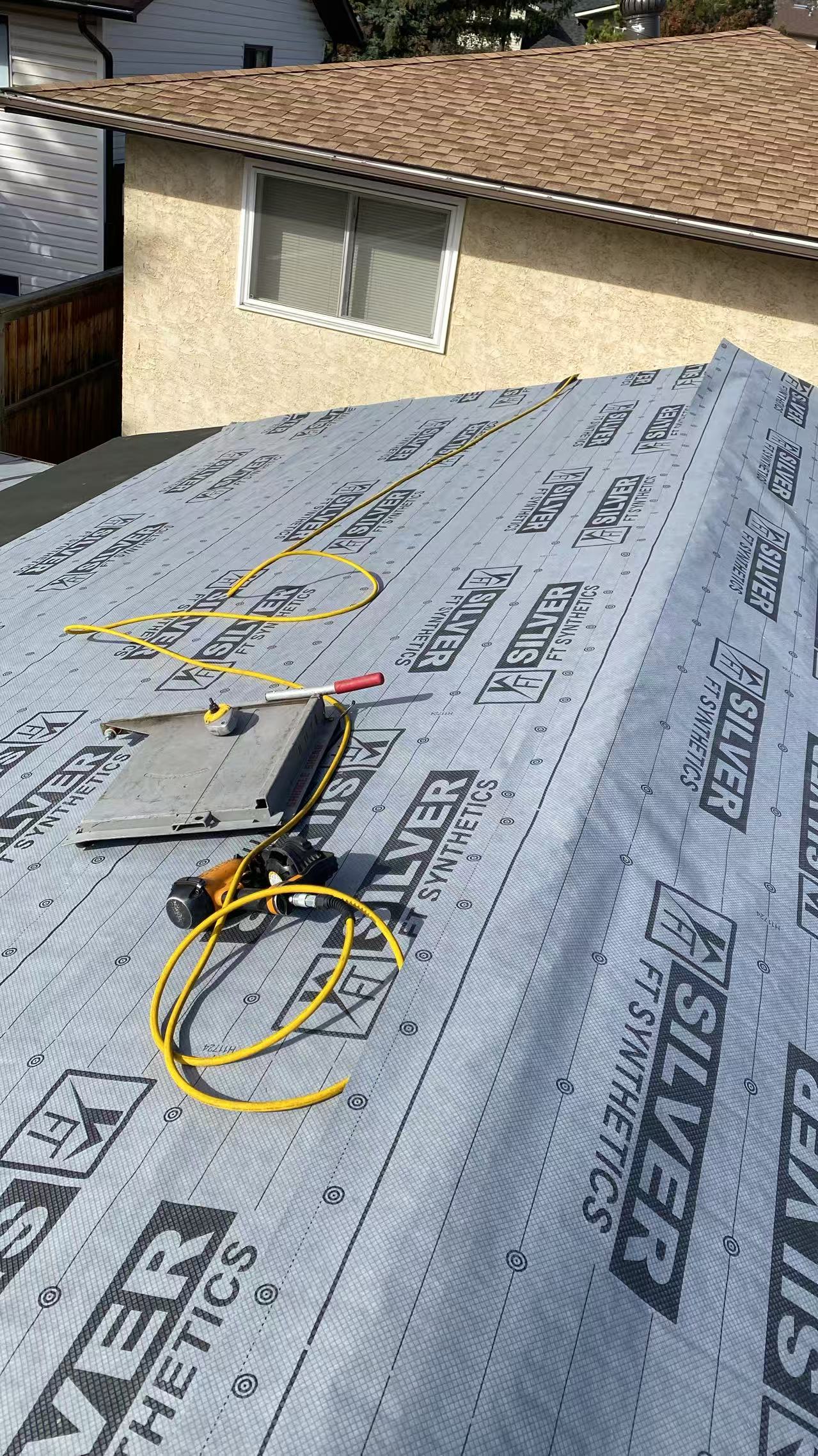 Roof Project 6